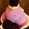 Recipe- Blackberry Frozen Yogurt