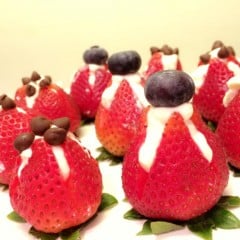 Recipe- Berry Delight (Sugar Free)